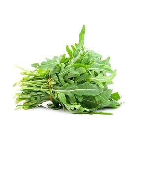 Rocket – Per Packet