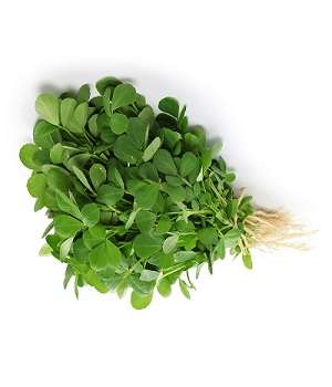 Fenugreek (Methi) – Per Bunch
