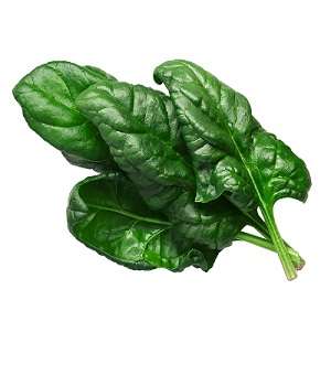 Baby Spinach – Per Bunch